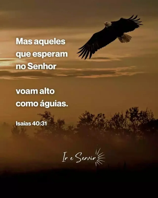 Aqueles que confiam em Deus podem enfrentar desafios sem se cansar ou desistir.

Aqueles que confiam no Senhor são levados para regiões acima das circunstâncias, como uma águia que voa alto, acima das tempestades.

Confie você também no Senhor! E voe acima de todos os problemas!

'Mas aqueles que esperam no Senhor renovam as suas forças. Voam alto como águias; correm e não ficam exaustos, andam e não se cansam.' (Isaías 40:31)

❤️ Deus lhe trouxe aqui por um propósito

📖 Com Ele, tudo é possível! (Marcos 10:27)

💎 Siga para mais palavras de encorajamento

#ireservir #orar #bíbliaanote #palabradedios #oração #bibliadamulher #bibliasagrada #sucesso #jesusalva #dios #espiritosanto #igrejacatolica #cristianos #graça #bibliaonline #fe #deuscuidademim #adora #versiculododia #palavrasdedeus #oraçao #bible #bibliadeestudio #reinodedeus #jesuscristosalvador #estudeabíblia #paz #deusacimadetodos