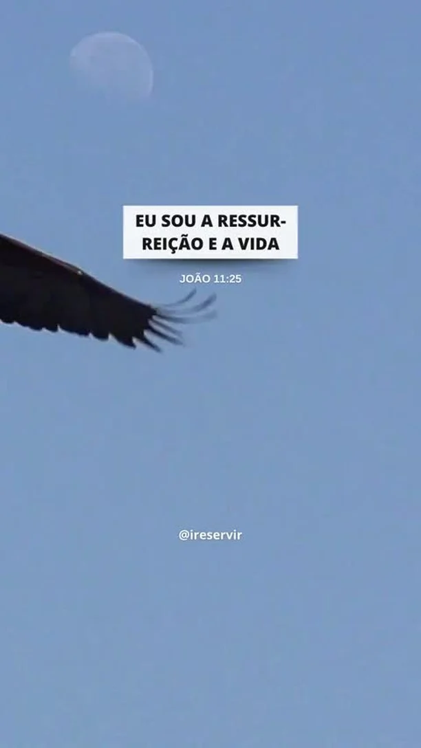 A RESSURREIÇÃO de Cristo é a SUA Esperança Hoje

❤️ Deus lhe trouxe aqui por um propósito

📖 Com Ele, tudo é possível! (Marcos 10:27)

💎 Siga para mais palavras de encorajamento

#ireservir  #catolicos #orar #palavradedeus #deusacimadetodos #deusfiel #diosesamor #palabradedios #alegria #versiculosdodia #positividade #god #evangelho #biblianvt #louvor #defesadoevangelho #diosteama #deusnocontrolesempre #felicidade #igrejacatolica #adoração #Bibliaperolada #faith #amor #oração #graça #bibliadeestudo #bíbliaanote