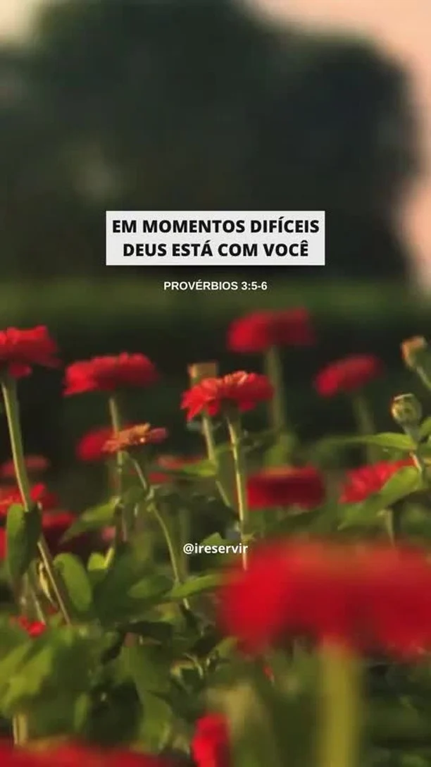 Deus Está com Você em Cada MOMENTO Difícil, Confie!

❤️ Deus lhe trouxe aqui por um propósito

📖 Com Ele, tudo é possível! (Marcos 10:27)

💎 Siga para mais palavras de encorajamento

#ireservir  #leituradabíblia #cristao #mensagemdodia #iglesia #bíbliaanote #jesusestavoltando #foco #church #estudeabíblia #igrejacatolica #bíbliaonline #deuscuida #felicidade #fé #mêsdabíblia #jesussaves #versiculosbiblicos #biblias #jesuscristoeosenhor #jesuscristoteama #evangelho #bibliantv #graça #oracion #jesusalva #deusacimadetudo #versiculobiblico