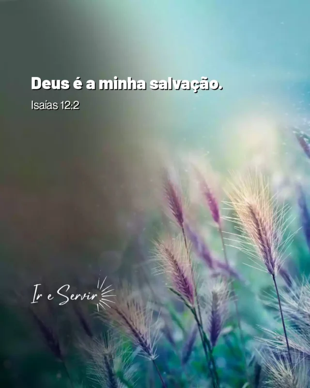 O versículo "Deus é a minha salvação" (Isaías 12:2) nos convida a reconhecer a soberania divina em nossas vidas.

 Ao afirmarmos que Deus é nossa salvação, estamos expressando confiança em Sua proteção e direção, mesmo diante das adversidades.

 Essa verdade nos lembra da importância de cultivar uma relação íntima com o Senhor, buscando sempre a Sua presença em oração e meditação na Palavra.

 

Uma dica prática para viver essa verdade é aplicar os ensinamentos de Jesus sobre o amor ao próximo.

 Ao estendermos a mão aos necessitados e praticarmos a empatia, tornamo-nos instrumentos de salvação e esperança no mundo.

 Assim, ao vivermos o amor de Cristo, não só experimentamos a salvação em nossas vidas, mas também ajudamos outros a encontrá-la.

❤️ Deus lhe trouxe aqui por um propósito

📖 Com Ele, tudo é possível! (Marcos 10:27)

💎 Siga para mais palavras de encorajamento

#ireservir #faith #frasesinspiradoras #deuseamor #iglesia #deusconosco #versiculododia #deusnafrentesempre #leiaabiblia #estude_a_bíblia #jesuscristosalvador #abíblia #bíbliaonline #bibliadiaria #deusebomotempotodo #jesuscristovive #catolico #positividade #deusnafrente #familia #ora #jesusteama #sabedoria #espiritualidade #orar #jesusvive #deusfiel #gospel